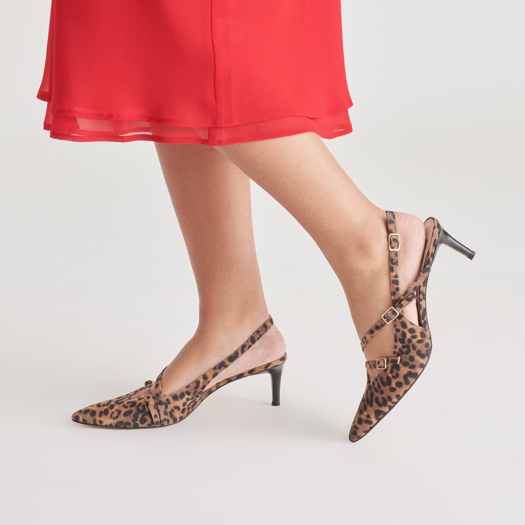 Pointed Toe Sam Edelman Leopard Shoes Sam Edelman Ludlow Leopard